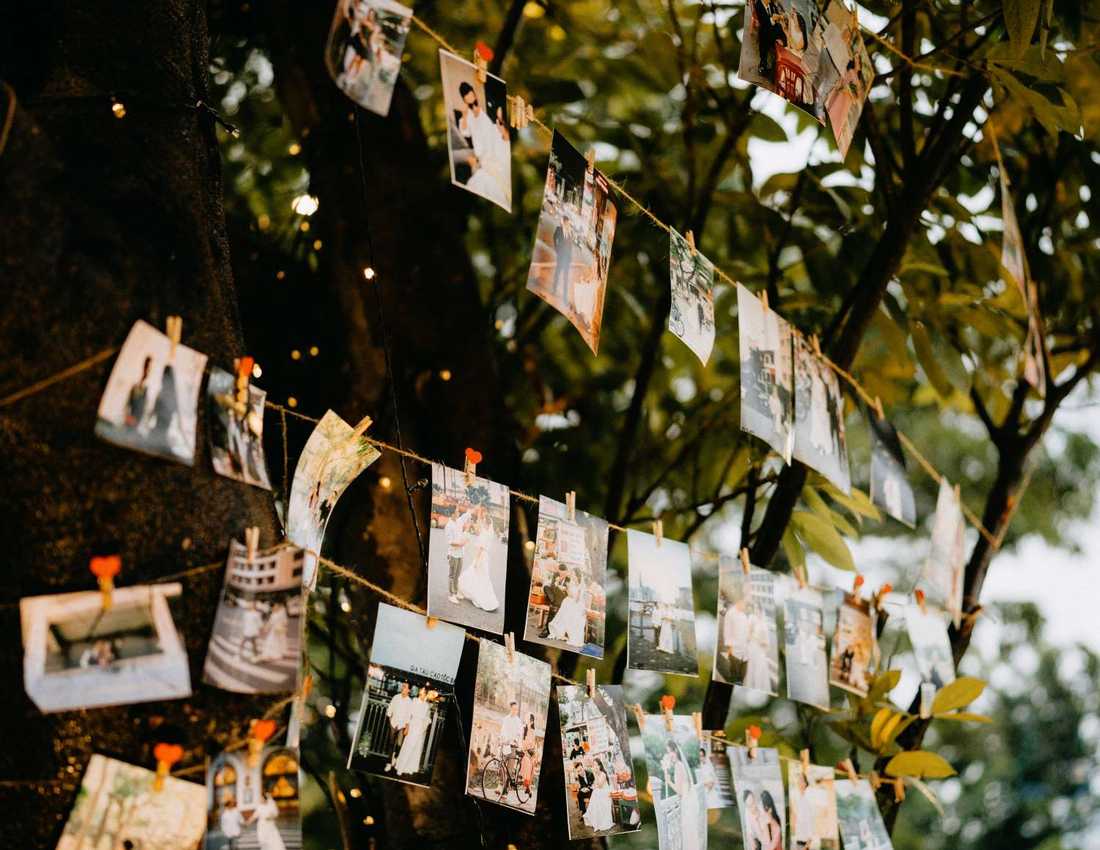Printed photographs pegged to string in front of a tree