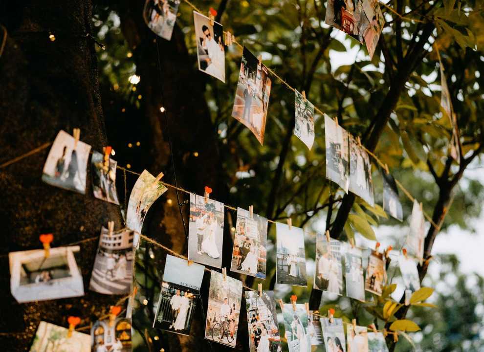 Printed photographs pegged to string in front of a tree